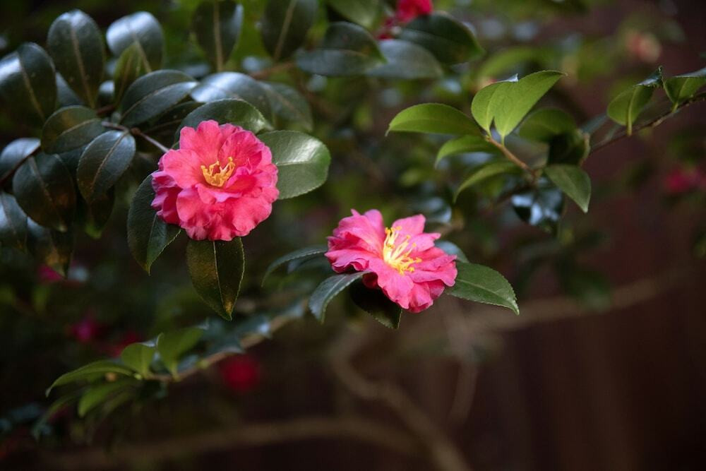部屋からの景観