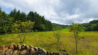 プレミアム ルーム クイーンベッド 2 台 (Appi Kogen View)