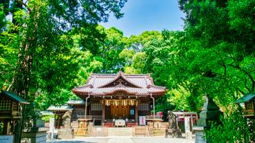 代々木八幡宮 / 3