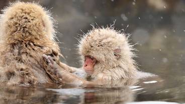 観光スポット / 12