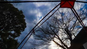 テラス / パティオ / 12