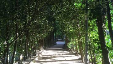 観光スポット / 2