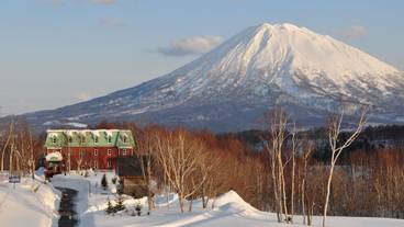 メイン イメージ / 1