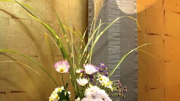 内装の詳細 / 13