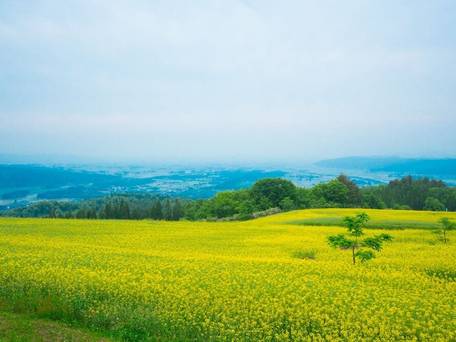 創作料理が自慢の宿 会津 喜多方 熱塩温泉 山形屋 / 3