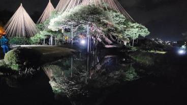 ランド ビュー / 6