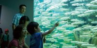 琵琶湖周辺の子連れにおすすめホテル・旅館11選。ファミリーで楽しもう！／滋賀