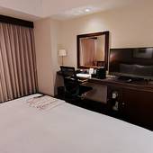 ANAクラウンプラザホテル岡山（岡山県 シティホテル） / 2