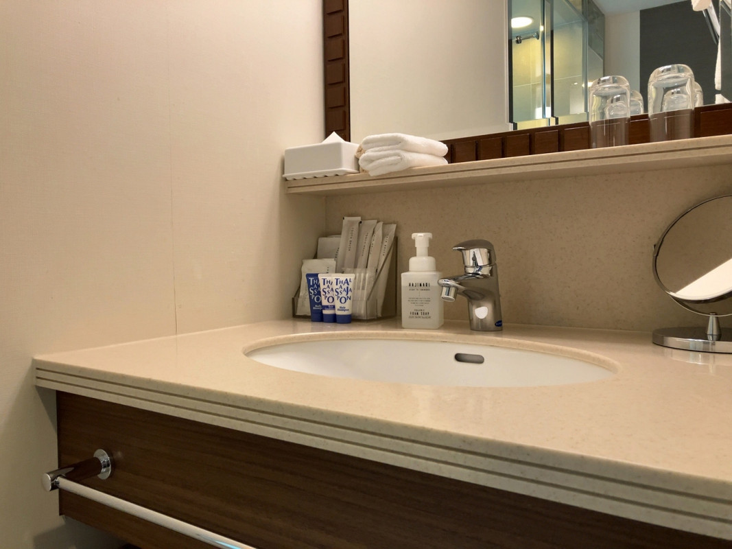 バスルーム、手前側は洗面台とトイレで…