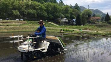 施設の敷地 / 22