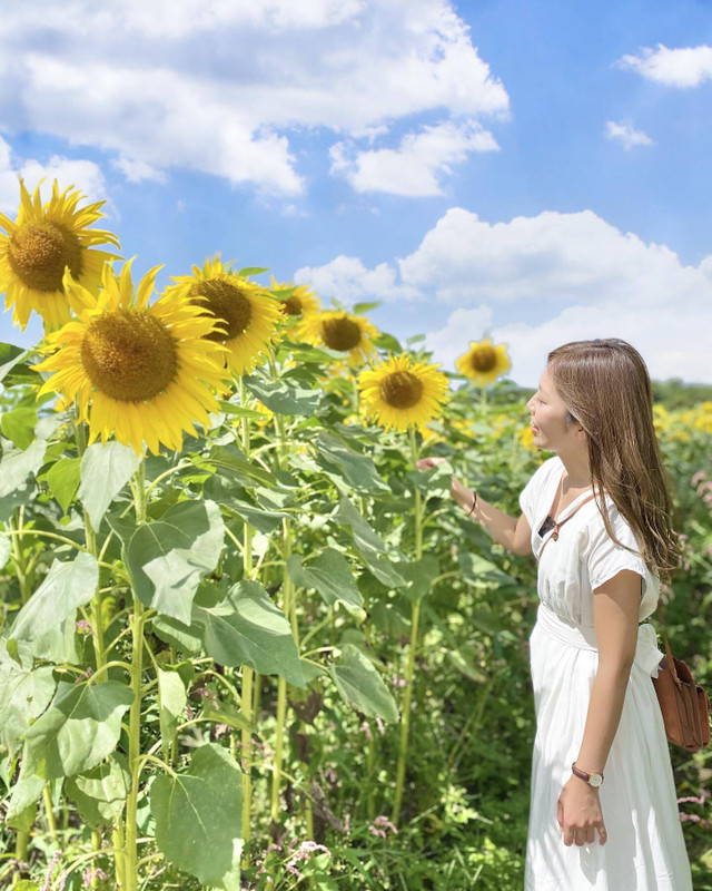 naaaatsu__さんの写真 / 2
