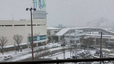 部屋からの景観 / 8