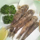 和楽 魚菜亭(ワラクギョサイテイ)