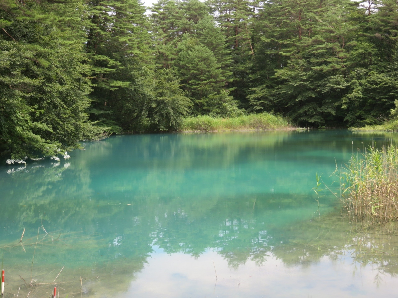 ここは北欧？日本離れした別世界で過ごす特別な時間3492787