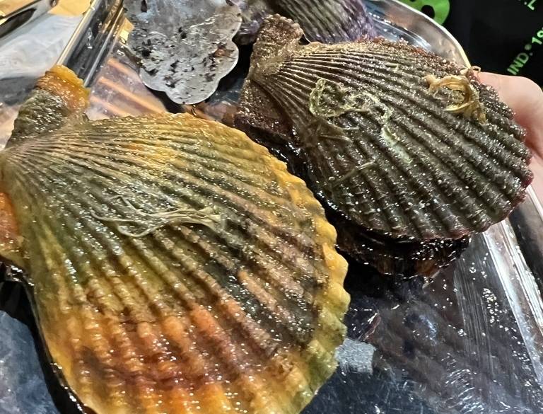 すさみ夜市のバーベキュー / 2