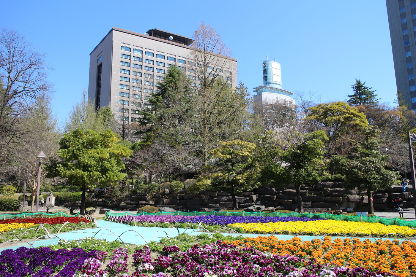 仙台市青葉区 春の勾当台公園周辺