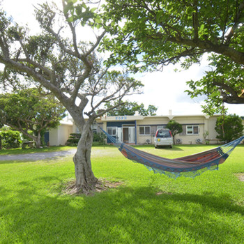 島の食材を使用した手料理に大満足3357948