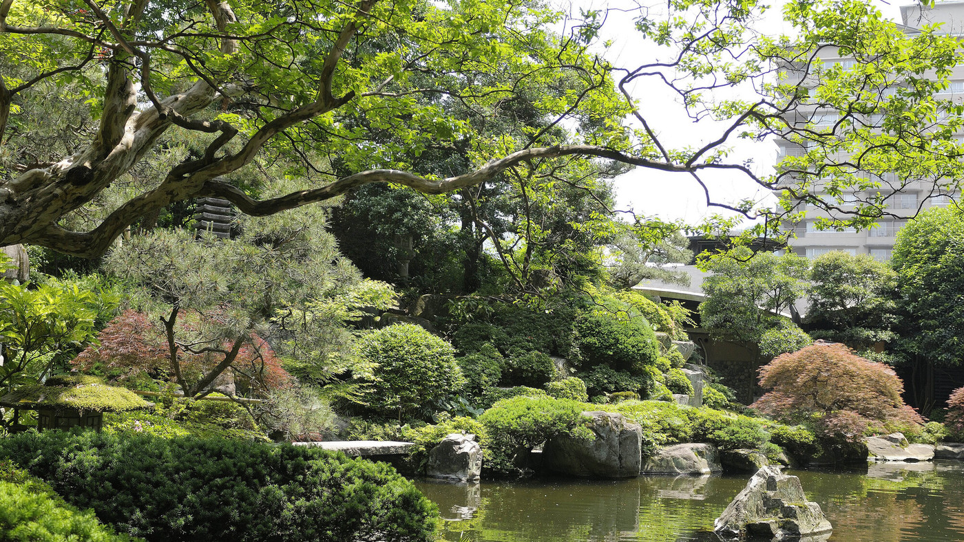 創業100年超えの老舗旅館3720181
