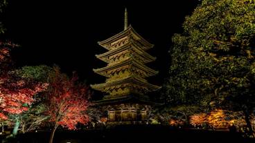 観光スポット / 15