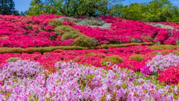 源泉と離れのお宿 月(ゲンセントハナレノオヤド ツキ) / 5