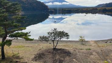 施設からの眺望 / 16