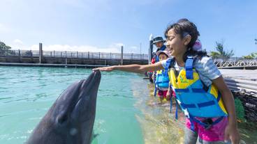 子供向けアクティビティ / 11
