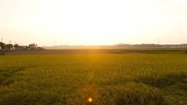 サンデッキ / 13