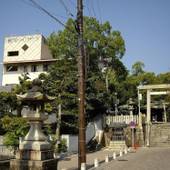 瀬戸パークホテル（愛知県 ビジネスホテル） / 5