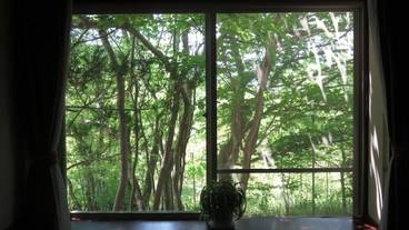 施設からの眺望 / 13