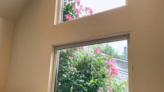 ラグジュアリー コテージ 1 ベッドルーム キッチン ガーデンビュー