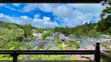 施設からの眺望 / 11