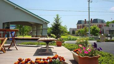 テラス / パティオ / 6