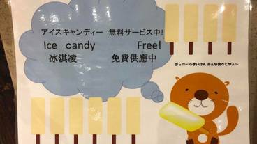 その他 / 8