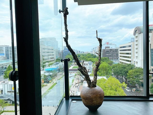 rinorino_albumさんの写真 / 7