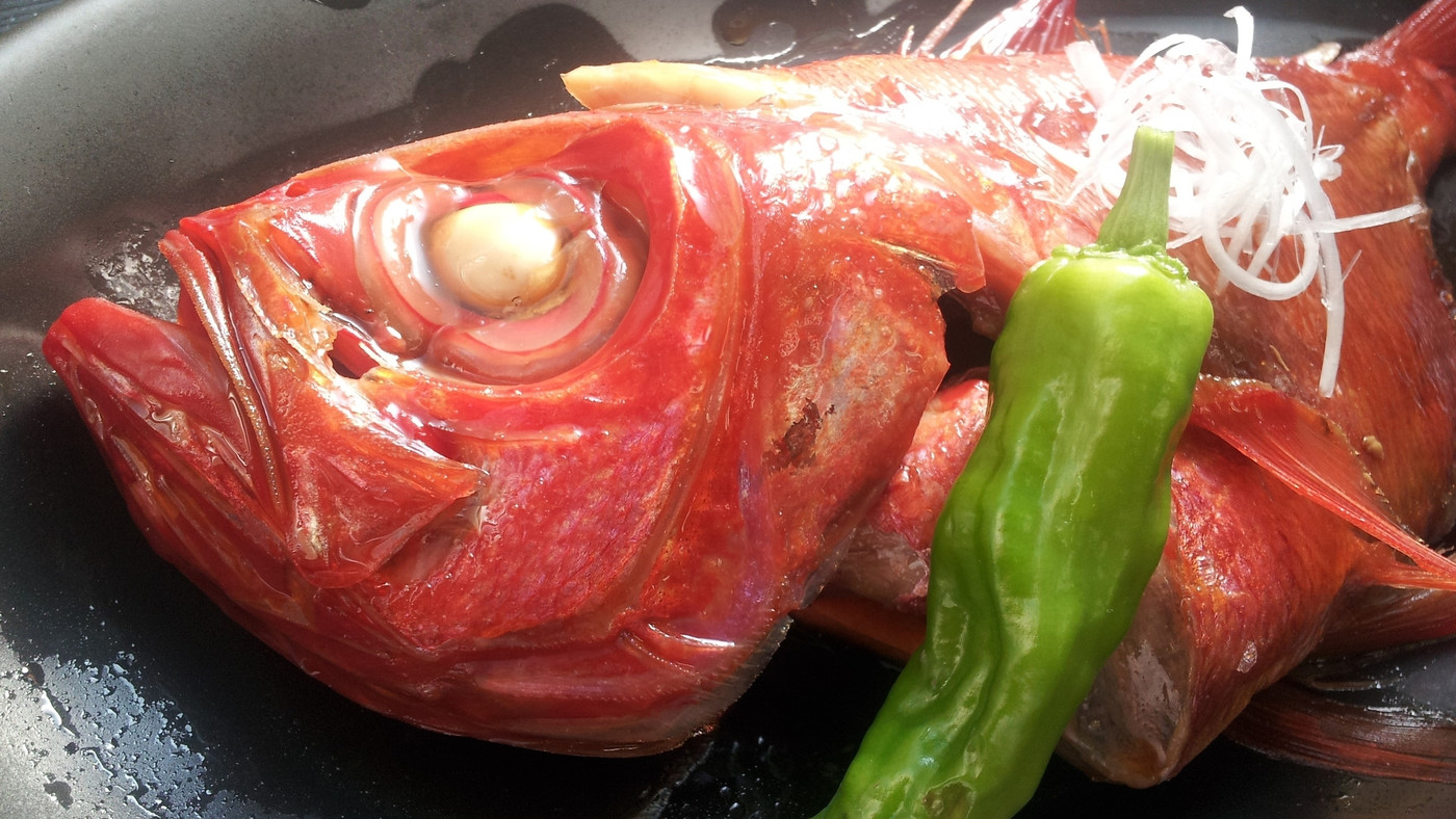 海鮮問屋の宿 くろしお3993547