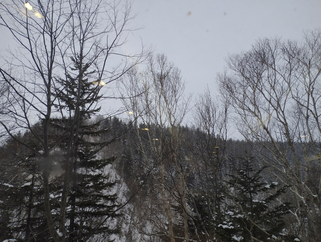 ホテルからの景色