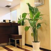 ホテルエスプル名古屋栄（愛知県 ビジネスホテル） / 3