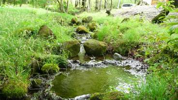 施設の敷地 / 13
