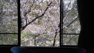 ガーデン ビュー / 7