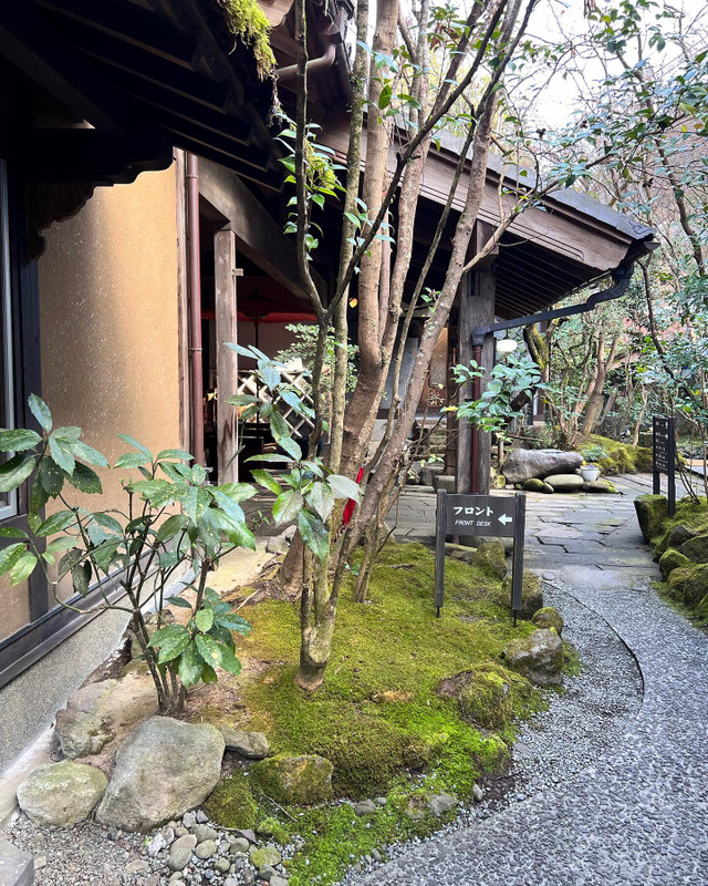 saki_yasuokaさんの写真 / 3