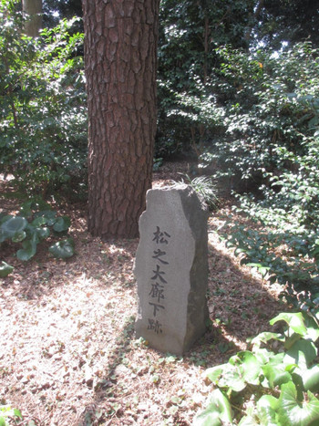 1. 皇居東御苑内にある「松の大廊下」跡【大手町】815489