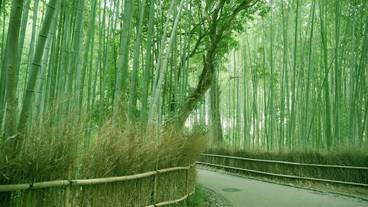 観光スポット / 2