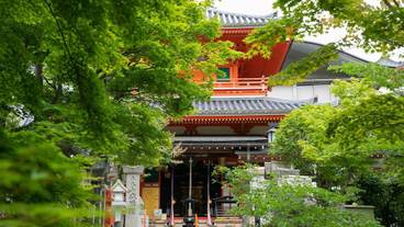 観光スポット / 15