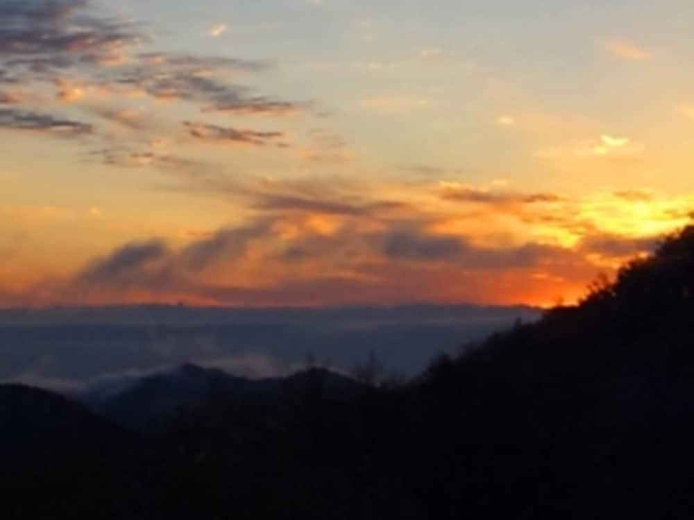 施設からの眺望