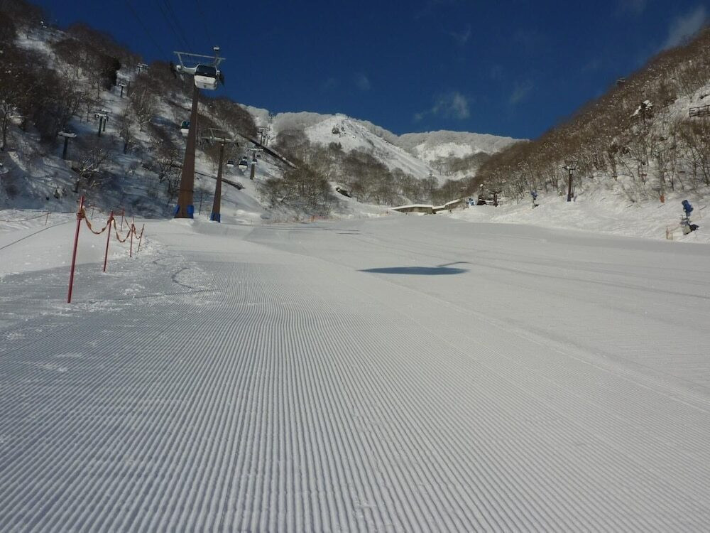 スノー スポーツとスキー