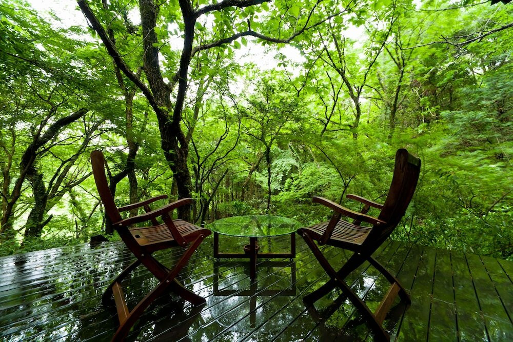 施設からの眺望