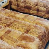 渚のリゾート 竜宮ホテル（愛知県 リゾートホテル） / 2