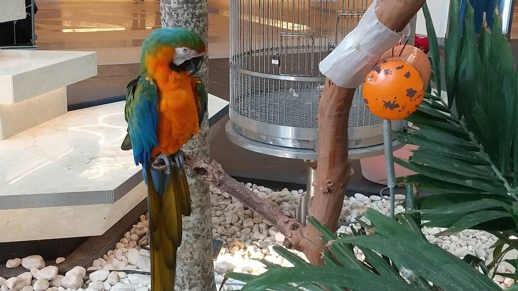 陸も海の動物も♪
触れ合って心を育む / 1