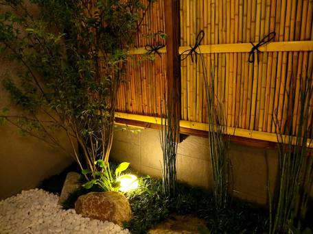 ホスタ東寺 櫻 / 2