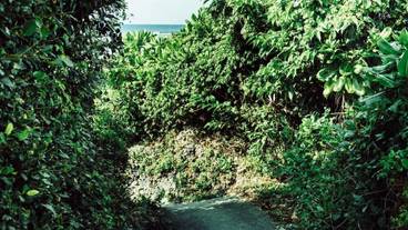 施設の敷地 / 12